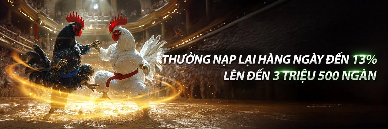 Chương Trình VIP MB66 Code